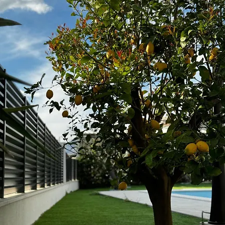 Villa Margita *