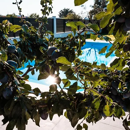 Margita * سبليت