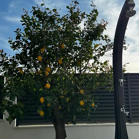 Villa Margita Split